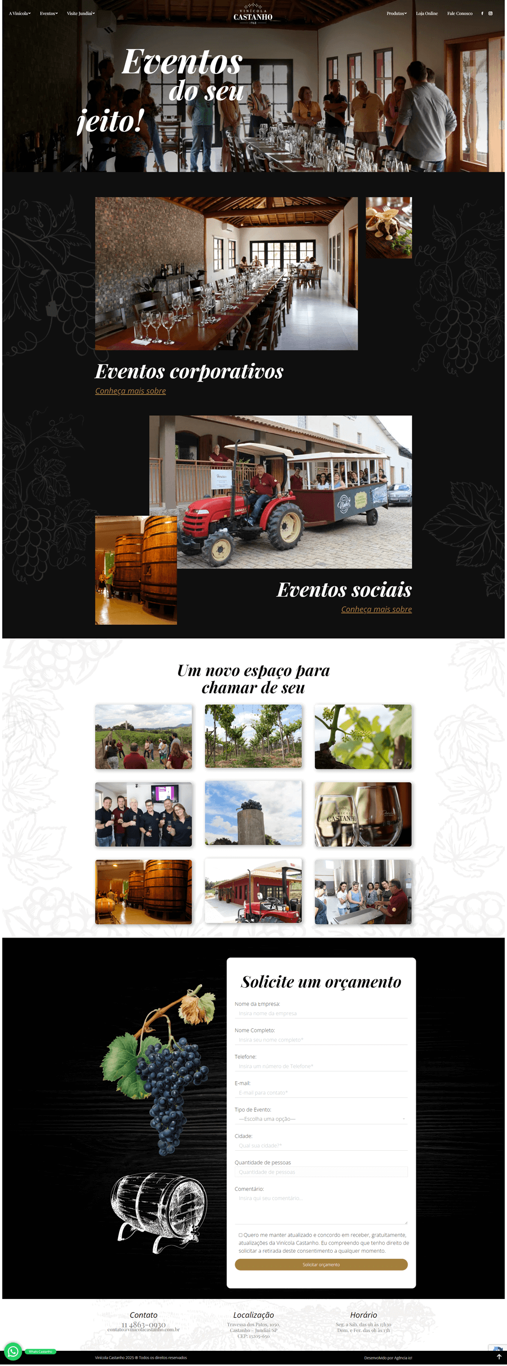 Site institucional Vinícola Castanho