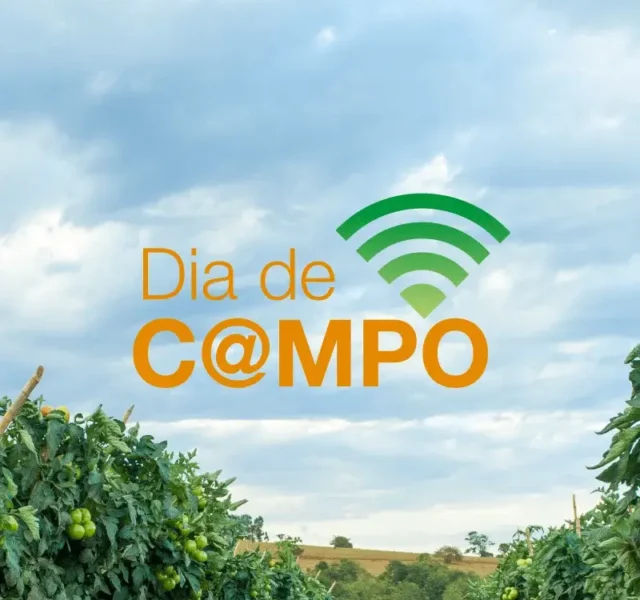 Dia de Campo Virtual