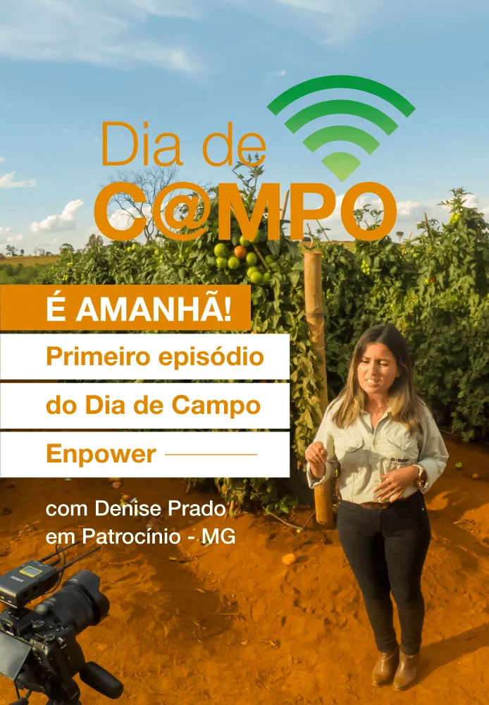 Dia de Campo Virtual