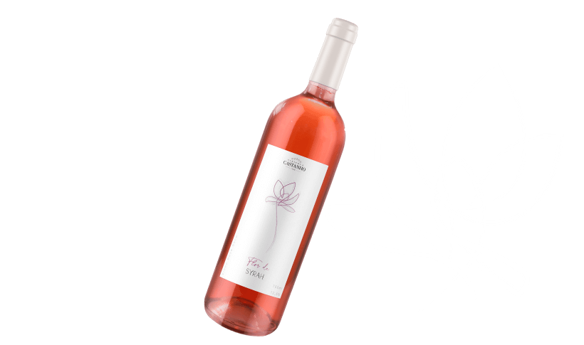 Lançamento Vinho Flor de Syrah com Vinícola Castanho