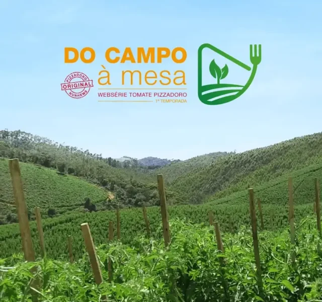 Websérie Tomate Pizzadoro: do Campo à Mesa